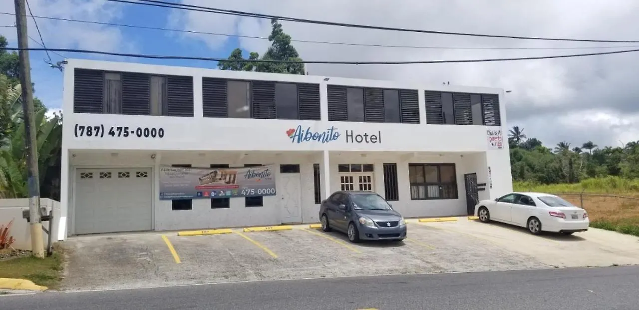 Aibonito Hotel 210 波多黎各